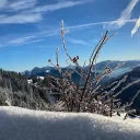 Chalet Hirschbergblick